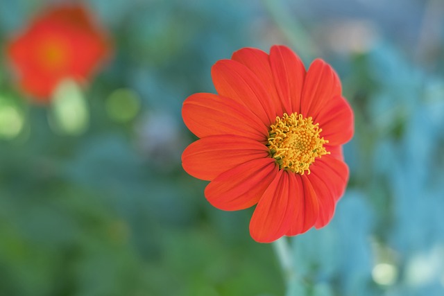 但都未能转 但都未能转