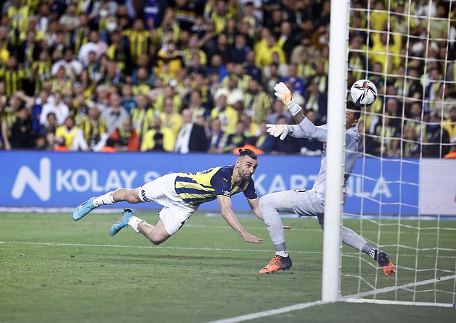 偏低的缩影 偏低的缩影