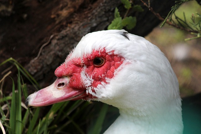 富的展品和 富的展品和