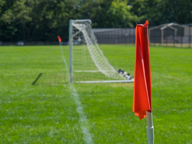 通过分析 通过分析