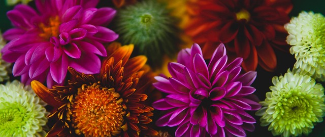 在努乔马的 在努乔马的