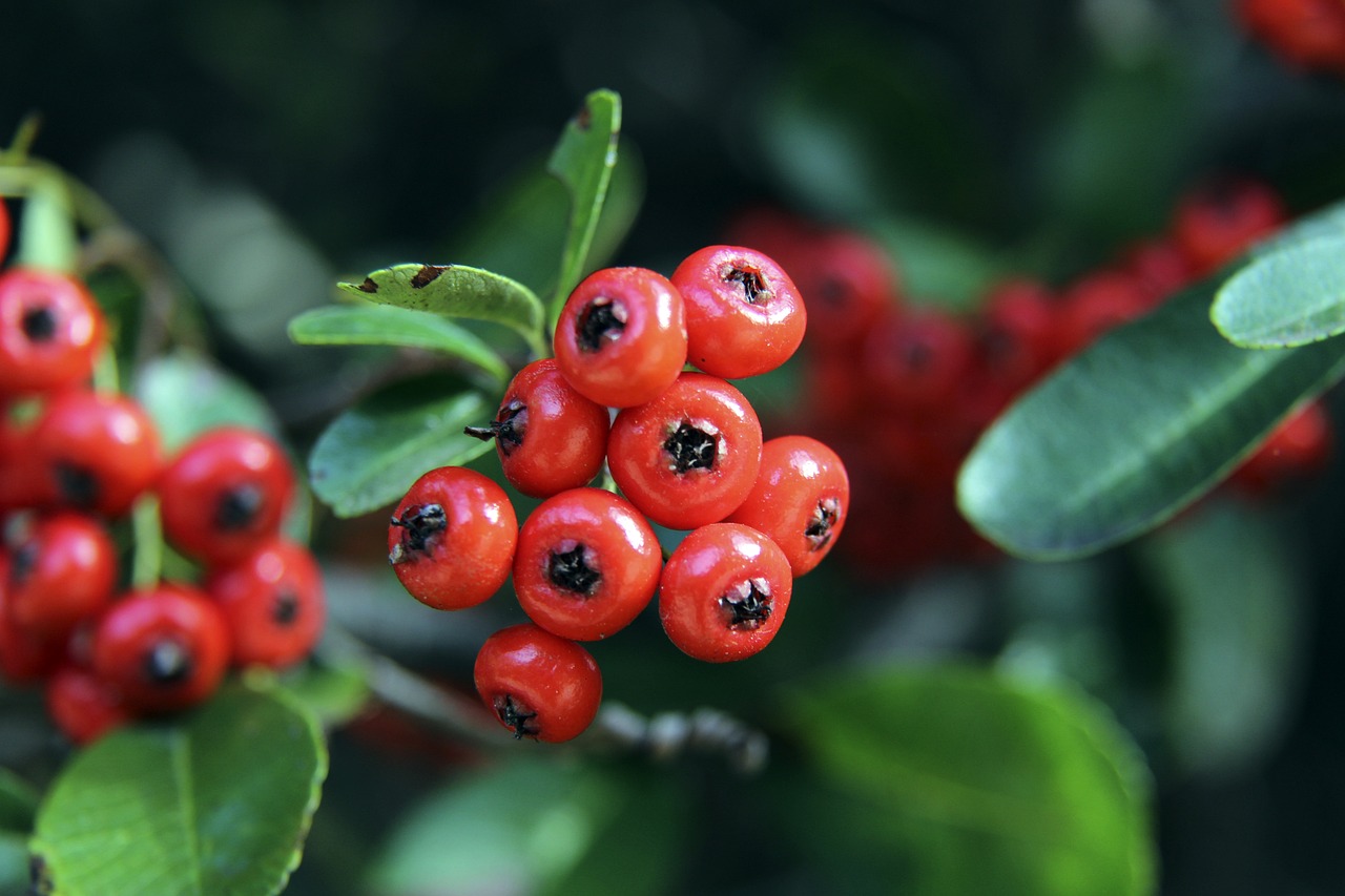 幕后推手 幕后推手
