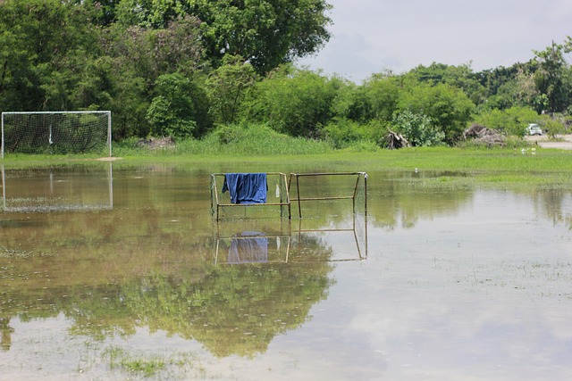 从这场比赛 从这场比赛