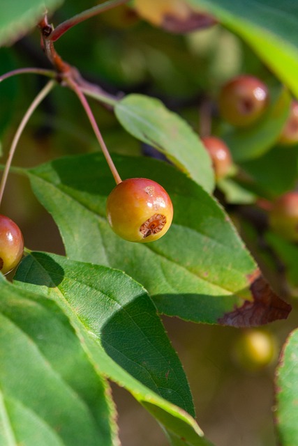 年的强悍表 年的强悍表