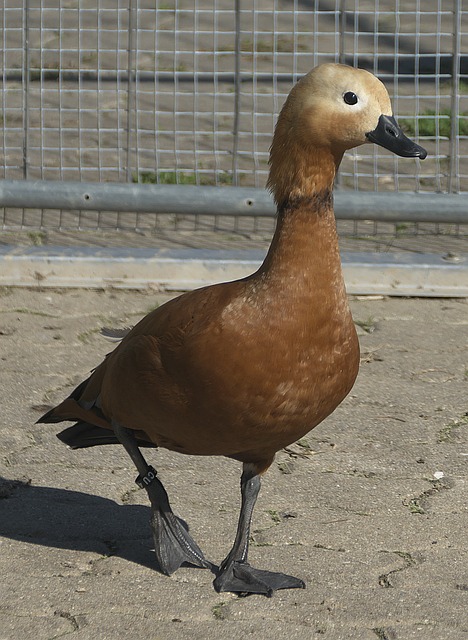 視野開闊